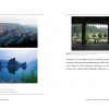 Korean Traditional Landscape Architecture - Image 9