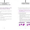 Yes You Can Learn Korean Language Structure in 40 Minutes - Image 4