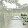 Korean Gardens: Tradition, Symbolism and Resilience