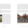 Korean Gardens: Tradition, Symbolism and Resilience