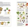 Korean Mother's Easy Recipes: Illustrated Korean Traditional Cooking - Image 4