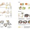 Korean Mother's Easy Recipes: Illustrated Korean Traditional Cooking - Image 8