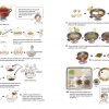 Korean Mother's Easy Recipes: Illustrated Korean Traditional Cooking - Image 10