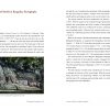 Bangudae Petroglyphs in Ulsan - Image 2