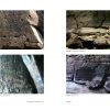 Bangudae Petroglyphs in Ulsan - Image 3