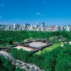 Beauty of Korea - Image 8