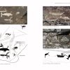 Bangudae: Petroglyph Panels in Ulsan, Korea, In the Context of World Rock Art - Image 6