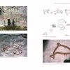 Bangudae: Petroglyph Panels in Ulsan, Korea, In the Context of World Rock Art - Image 7