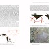 Bangudae: Petroglyph Panels in Ulsan, Korea, In the Context of World Rock Art - Image 8